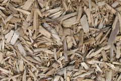 biomass boilers Dunira